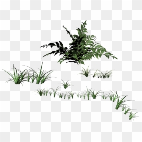 Portable Network Graphics, HD Png Download - grass blades png