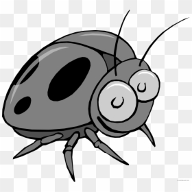 Beetle Clipart, HD Png Download - bed bug png