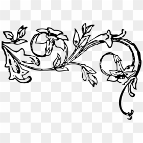 Black And White Vine, HD Png Download - vine vector png