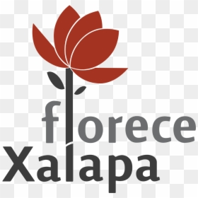 Logo Municipio De Xalapa, HD Png Download - recursos humanos png