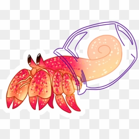 Illustration, HD Png Download - hermit crab png