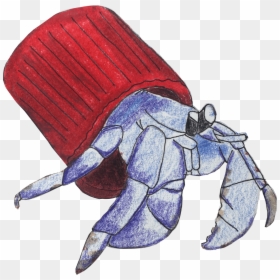 Illustration, HD Png Download - hermit crab png