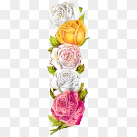 Vintage Rose Border, HD Png Download - vintage floral border png