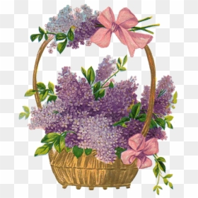 Png Vintage Easter Basket, Transparent Png - lavender sprig png
