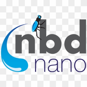 Nbd Nano Logo, HD Png Download - basf logo png