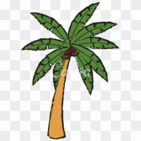 Illustration, HD Png Download - palm tree outline png