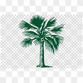 Oklahoma City Thunder Logo Png, Transparent Png - palm tree outline png