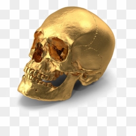 Gold Skull Png, Transparent Png - gold .png