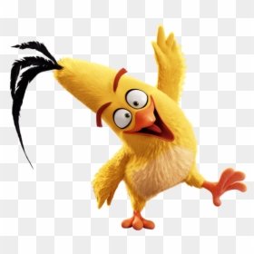 Angry Birds Movie Characters Hd, HD Png Download - funny .png