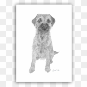Border Terrier, HD Png Download - christmas card border png