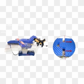 Leisure, HD Png Download - bottom png