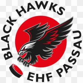 East Union Middle School, HD Png Download - hawks png