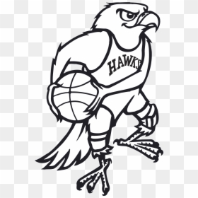 St Louis Hawks, HD Png Download - hawks png