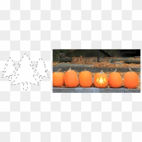 Jack-o'-lantern, HD Png Download - carved pumpkin png