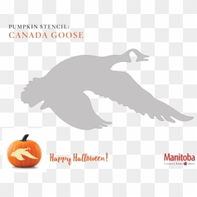 Goose Pumpkin Carving Patterns, HD Png Download - carved pumpkin png