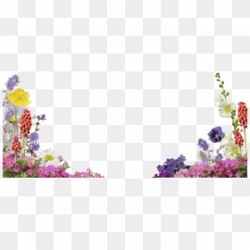 Flower Overlay Free, HD Png Download - bubble overlay png
