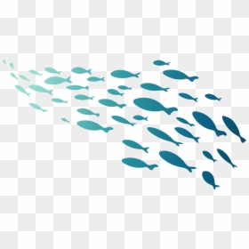 Group Of Fish Png, Transparent Png - paper transparent png