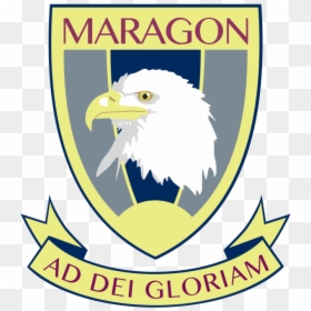 Maragon Ruimsig Motto, HD Png Download - olympus logo png