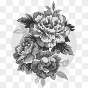 Peony Flower Chinese Drawing, HD Png Download - peony outline png