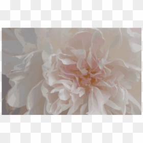Dahlia, HD Png Download - peony outline png