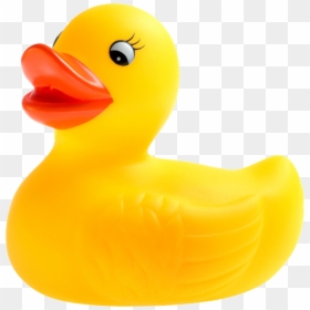 Rubber Duckie Transparent Png, Png Download - duck png