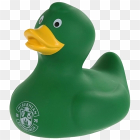 Mallard, HD Png Download - duck png