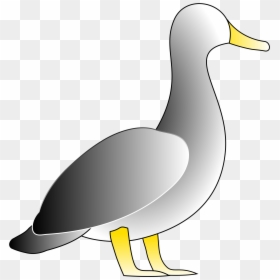 Duck Clip Art, HD Png Download - duck png