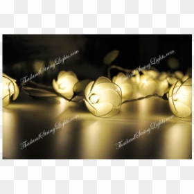 Still Life Photography, HD Png Download - string lights png