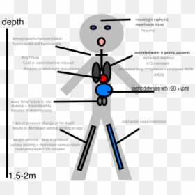 Pathophysiology Clipart, HD Png Download - stick figure png