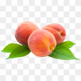 3 Peaches Clipart, HD Png Download - peach png