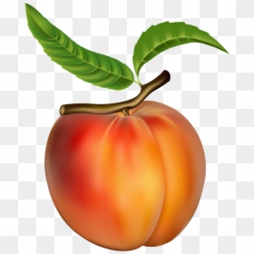 Peach Fruit, HD Png Download - peach png