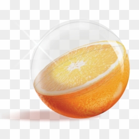 Fruit Inflatable Beach Ball, HD Png Download - beach ball png