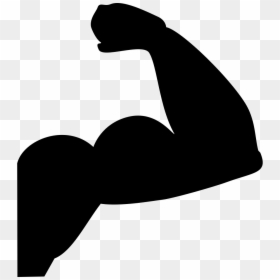 Strong Arms Png, Transparent Png - arm png