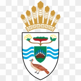 Arm Png, Transparent Png - arm png