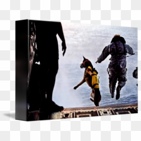 Combat Dogs In Action, HD Png Download - soldier png
