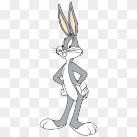Bugs Bunny And Tweety Bird, HD Png Download - bunny png
