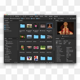 Adobe Bridge 2019, HD Png Download - reset icon png