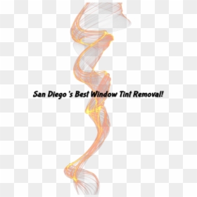 Fish, HD Png Download - joint .png