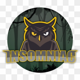 Owl, HD Png Download - owl icon png