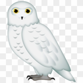 Snowy Owl, HD Png Download - owl icon png