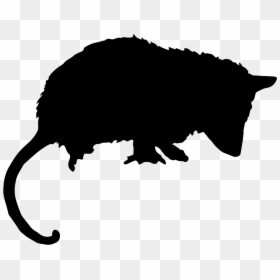 Opossum Silhouette, HD Png Download - animal silhouette png