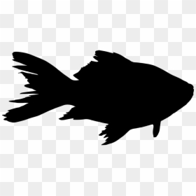 Fish Silhouette, HD Png Download - animal silhouette png