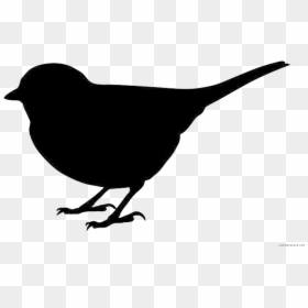 Silhouette Bird Clipart Black And White, HD Png Download - animal silhouette png