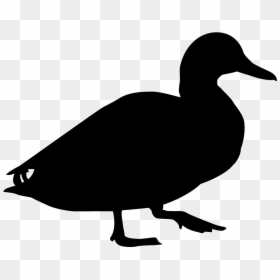 Dabbling Duck Silhouette, HD Png Download - animal silhouette png