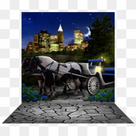 Alba Backgrounds - Photo Backdrops & Banners, HD Png Download - central park png