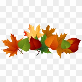 Fall Leaves Clipart Border, HD Png Download - leaves pile png