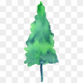Watercolor Christmas Trees Transparent, HD Png Download - pinetree png