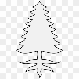 Colorado Spruce, HD Png Download - pinetree png
