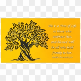 Olive Tree Vector Free, HD Png Download - torah scroll png