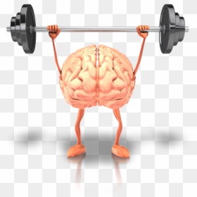Brain Lifting Weights Transparent, HD Png Download - weightlifter png